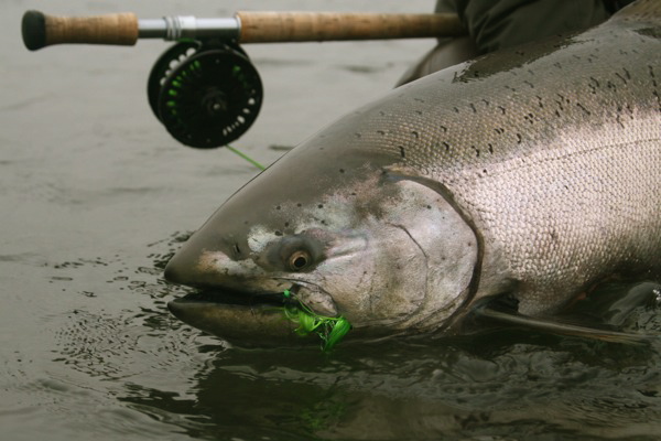 Host Trips Alaska