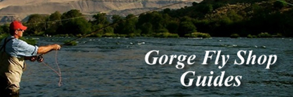Meet the Guides