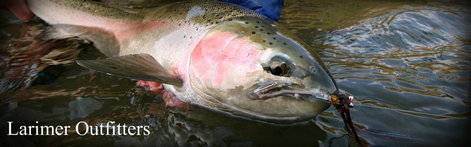 Hosted Travel | Larimer Outfitters