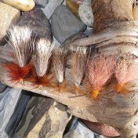 Deschutes River Stone Fly Assortment