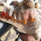 Deschutes River Stone Fly Assortment