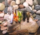 John Day River Bass Assortment