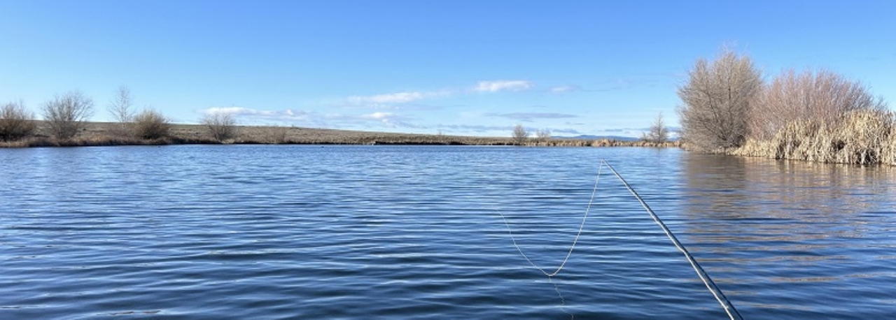 April Fishing Reports