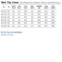 Scientific Anglers Mastery Wet Tip Clear