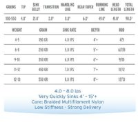 Scientific Anglers Mastery Wet Tip Express