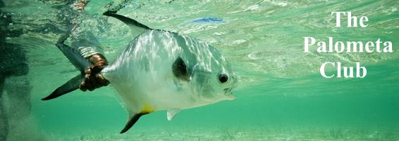 Palometa Club
