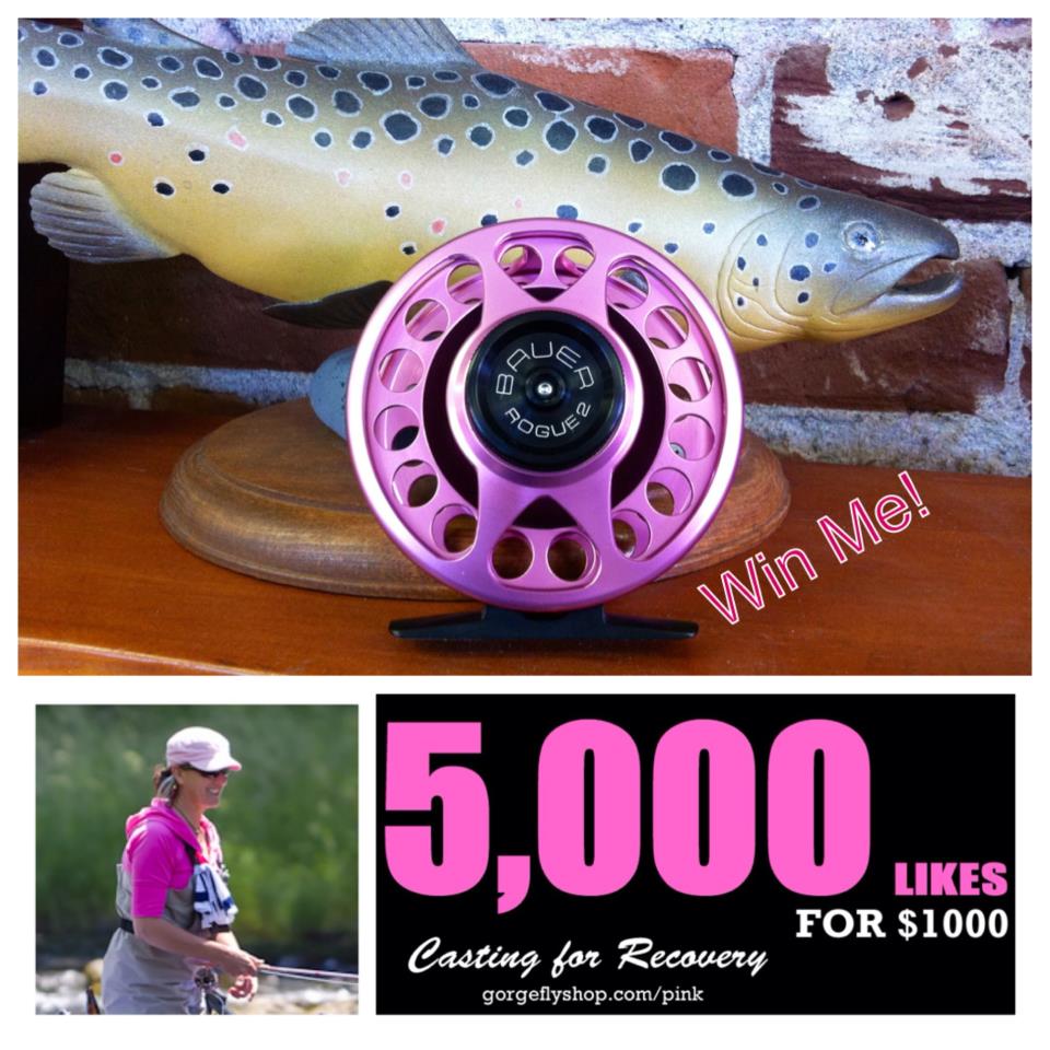Pink Bauer Reel Promo