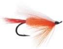 Polar Shrimp