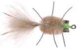 Rag Head Crab