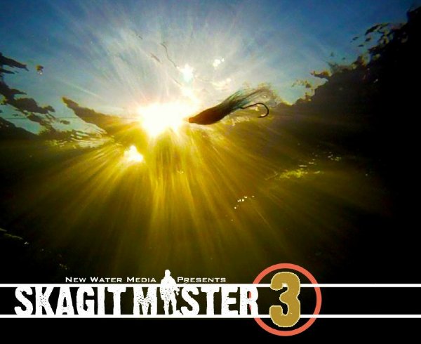 Skagit Master 3