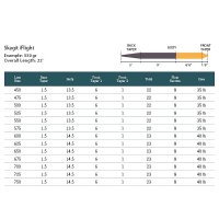 Rio Skagit i-Flight Head (Intermediate)