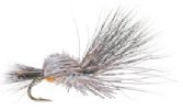 Steelhead Skater, Lambroughton's
