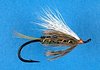 Steelhead Coachman