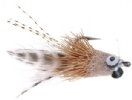 Swimming Shrimp