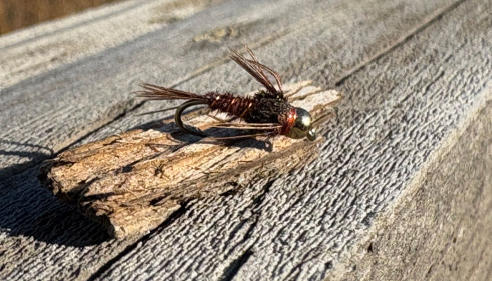 Bead Head Pheasant Tail BH Pheasant Tail