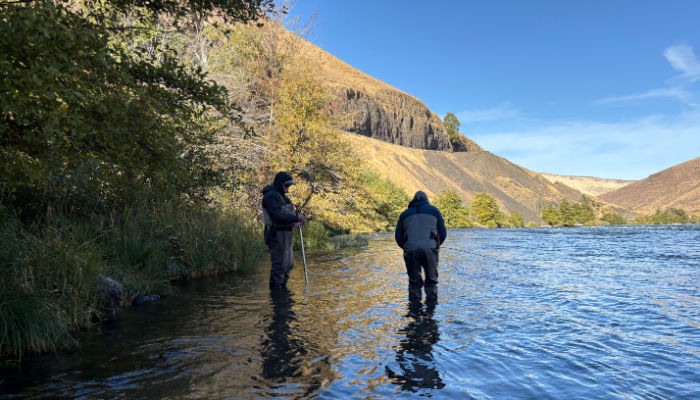 Deschutes River - In the hunt Deschutes - In the hunt