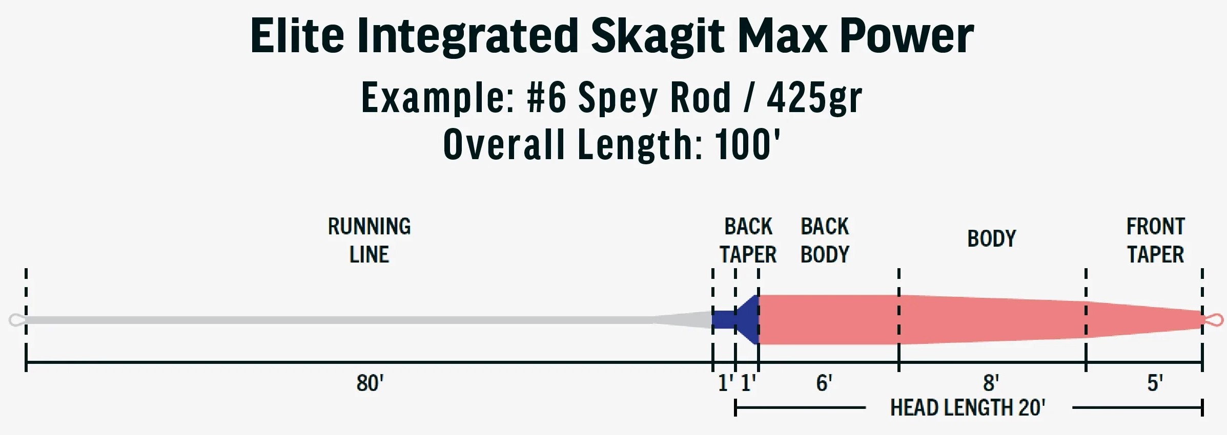 RIO Skagit Max Power