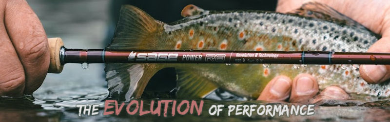 Sage Power R8 Sage Power R8 - Evolution of Performance