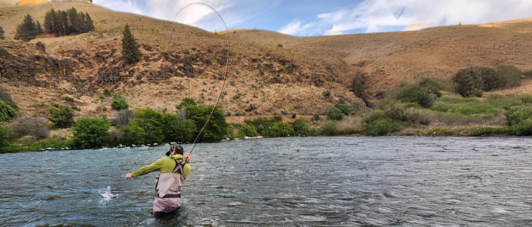 Deschutes Fly Fishing Report