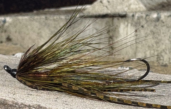 Mattoili's Trout Spey Intruder - Natural