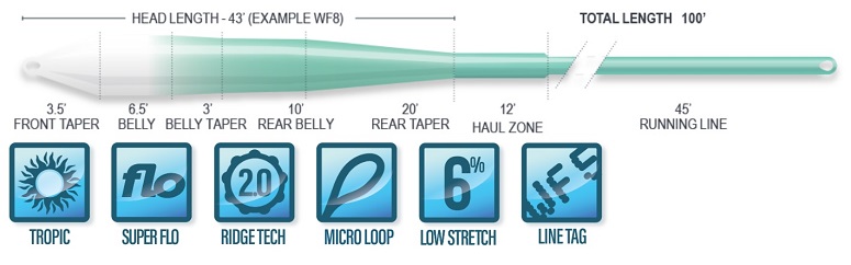 Airflo Superflo Ridge 2.0 SW Flats 9' Clear Tip