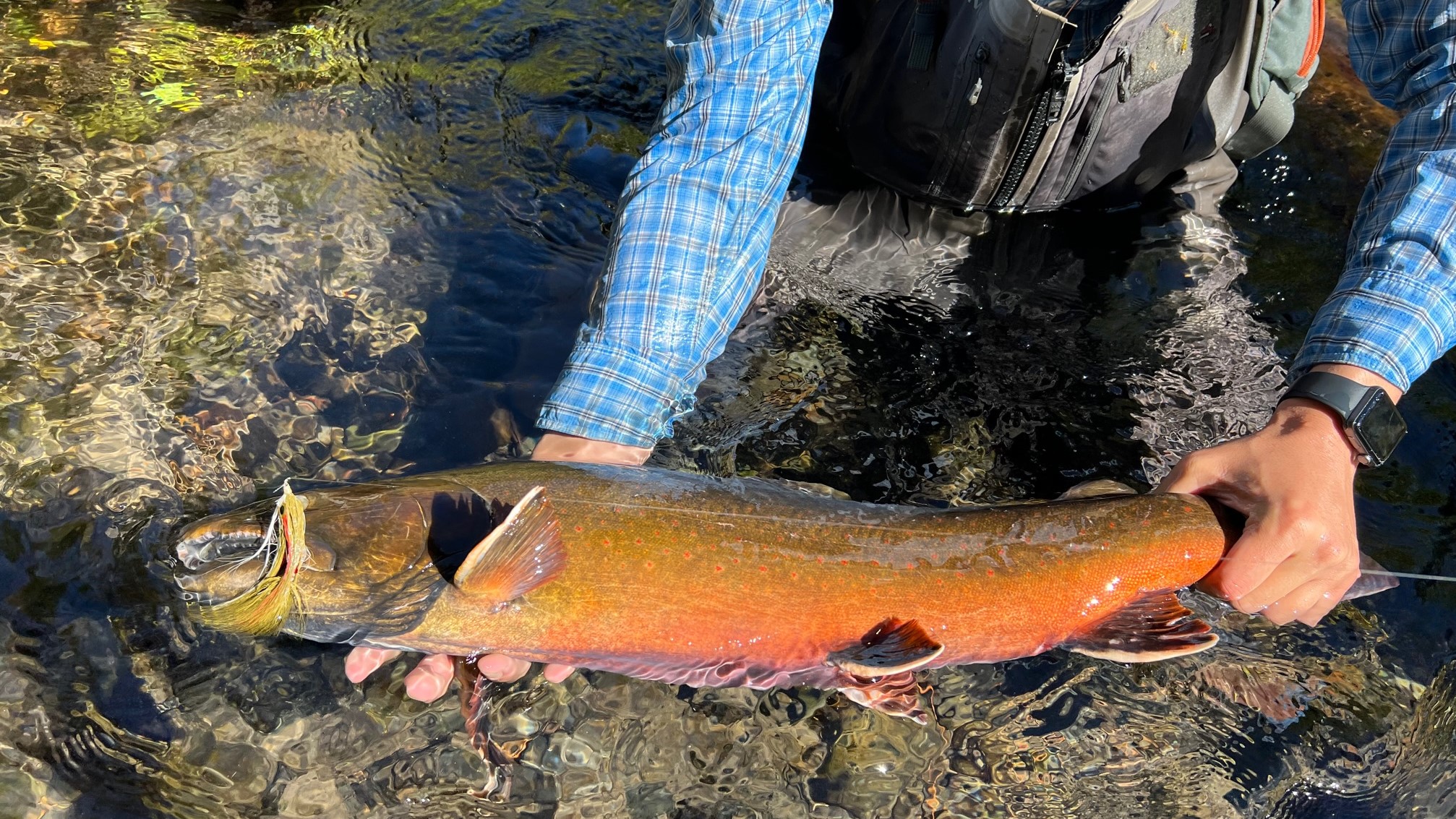 Happy Fishing! Here is this weekend's Big Bend fishing report