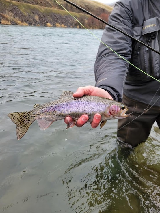 Happy Fishing! Here is this weekend's Big Bend fishing report