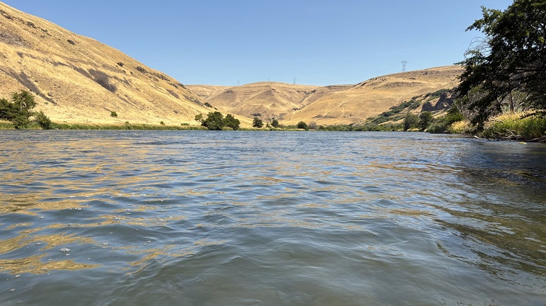 July 18, 2025 Fishing