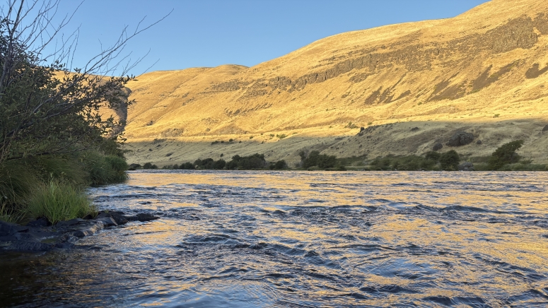 Columbia Gorge Fishing Reports