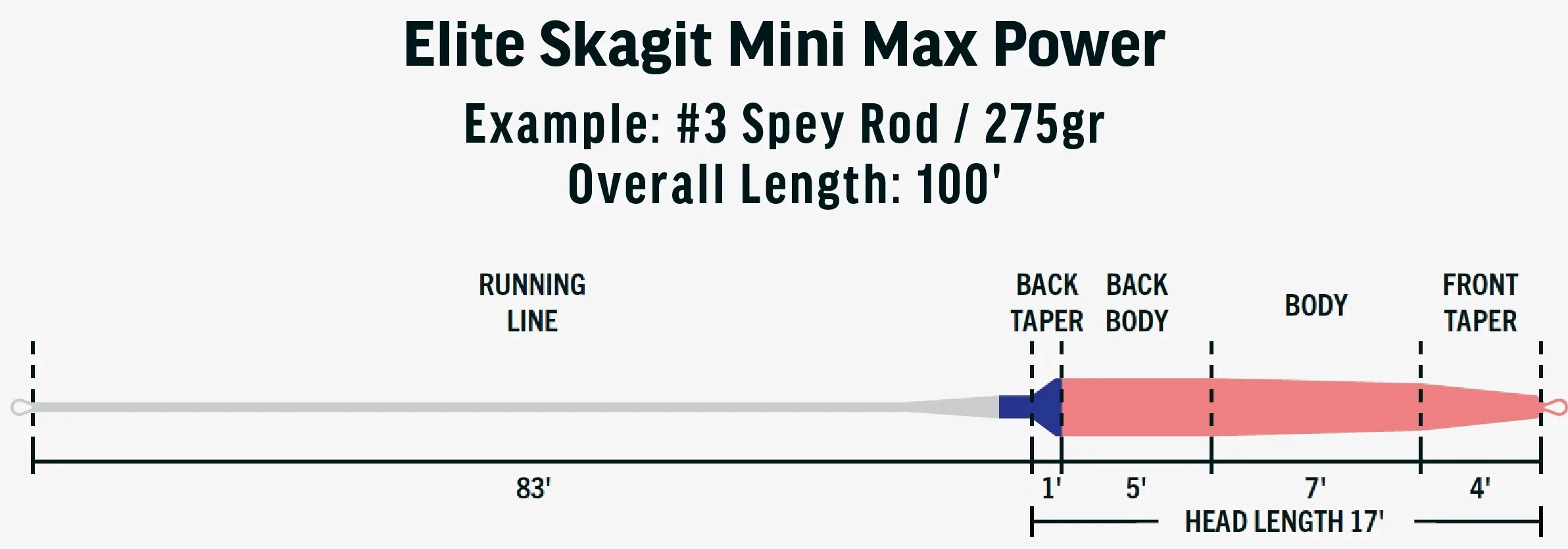 RIO Skagit Mini Max Power