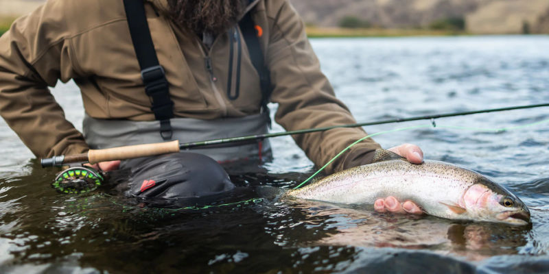 Sage Sonic 590-4 Fly Rod - 9'0