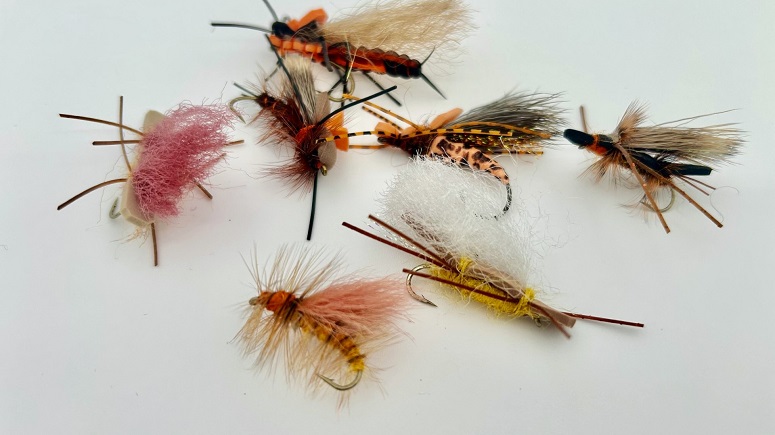 Deschutes Stonefly Trout Selection
