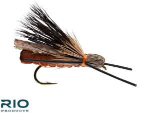 Foam Rogue Stone - Salmonfly #4,6,8