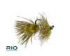 Gold Jigger - Olive