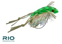 RIO's Shimmy Frog Leopard