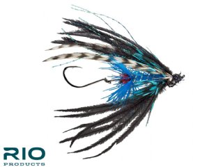 RIO Bantam - Black / Blue