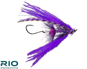 RIO Bantam - Purple