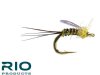 Flashover - Olive