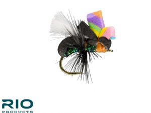 RIO Glo Ant - Black