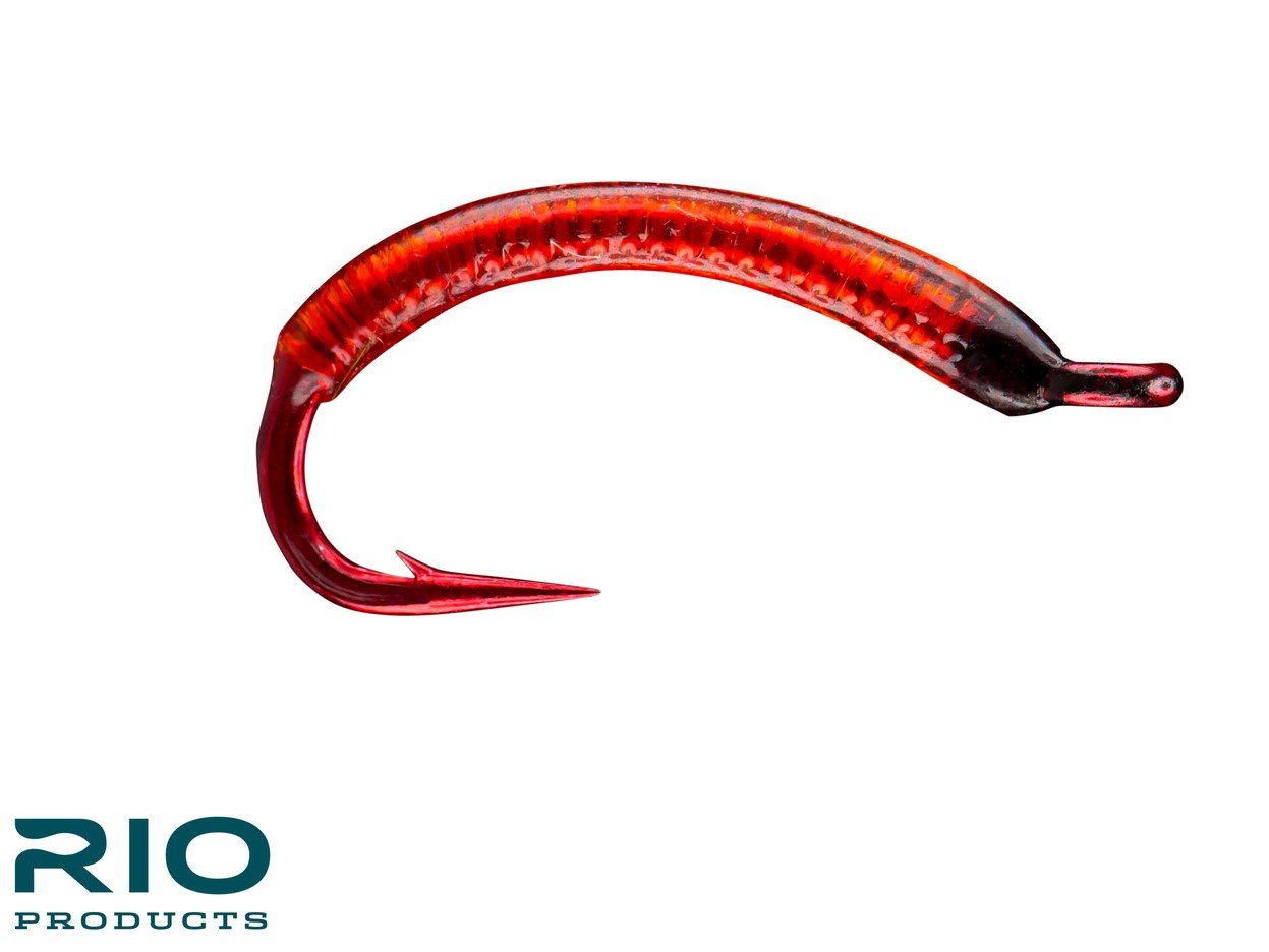 Bloodworm