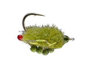 Webster Tactical Crab - Olive