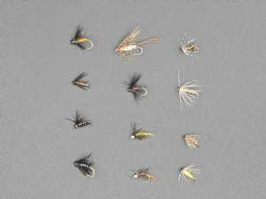 GFS Kit - Trout Spey Soft Hackle Madness