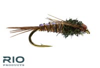 RIO Pheasant Tail Flashback