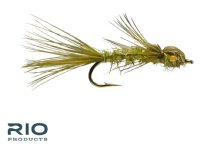 RIO Dainty Damsel - Olive