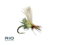 RIO's Body Double Caddis - Olive