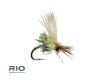 Body Double Caddis - Olive