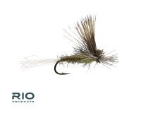 RIO's E/C Caddis - Olive