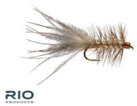 RIO's Blonde Leech - Cream