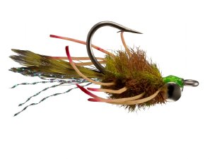 Permit Crab - Olive