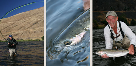 Deschutes Steelhead